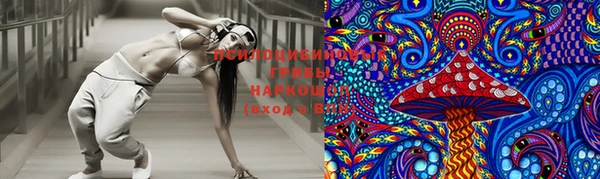 спайс Каменка