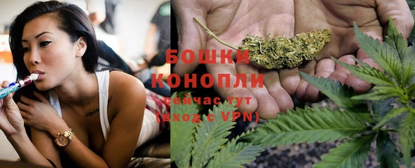 спайс Каменка