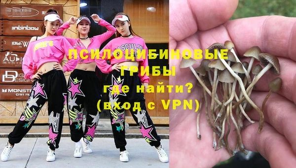 твердый Кинешма
