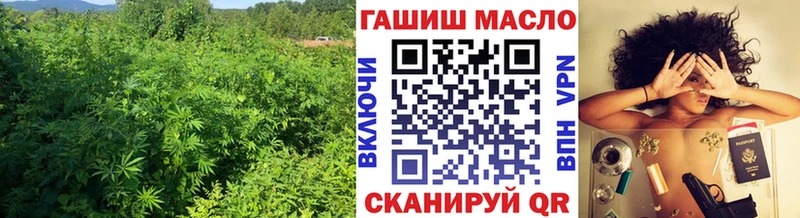 Дистиллят ТГК концентрат  где можно купить наркотик  ОМГ ОМГ ссылка  Кашира 