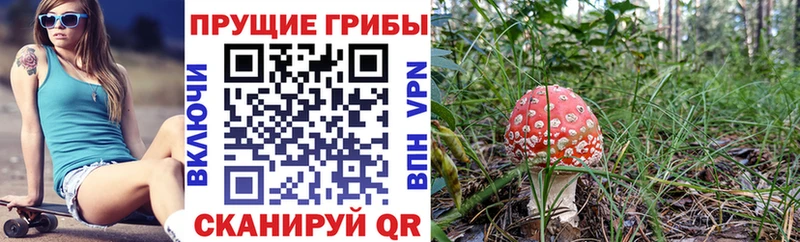 Галлюциногенные грибы Cubensis  МЕГА ссылка  Кашира 